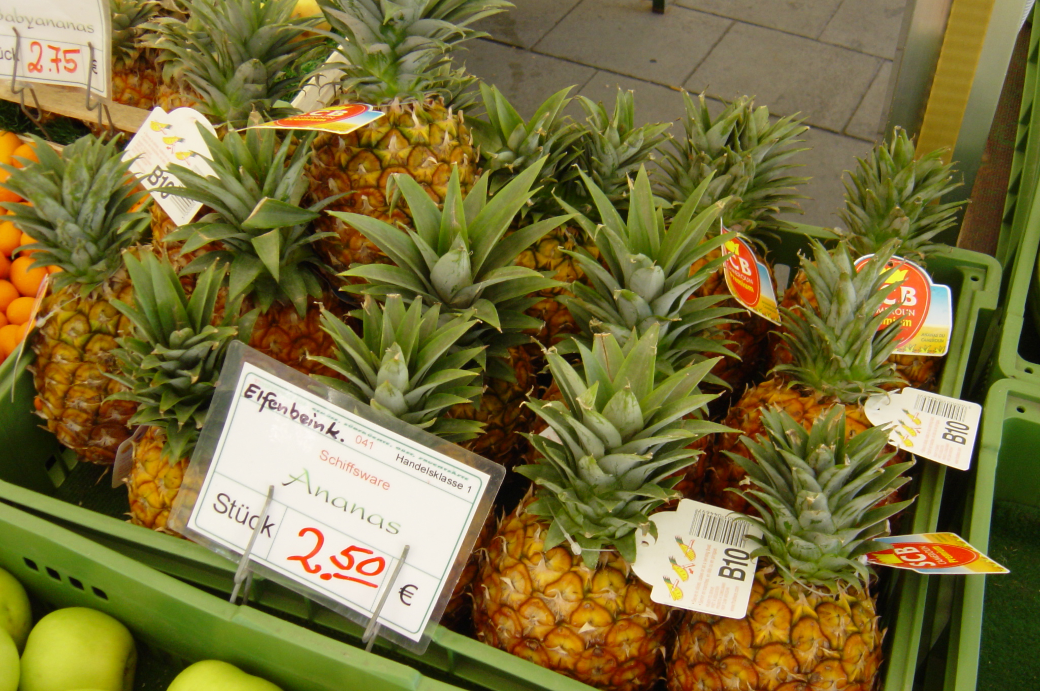 Définition Ananas Ananas comosus